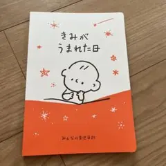 きみがうまれた日 パパ　ママ　育児日記　手書き
