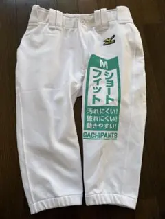 Item thumbnail for item b5833f9b-ffed-449f-ab72-9b3cfe4701f4