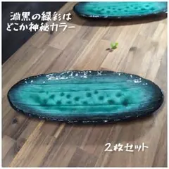 美濃焼/緑彩淵黒楕円長皿　2枚組