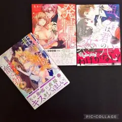 TLコミック 3冊 まとめ売り セット　三夏 黒之響 筑谷たか菜