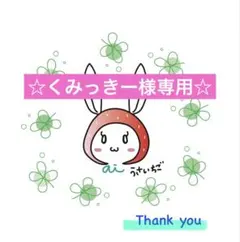 くみっきー様 リクエスト 2点 まとめ商品