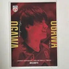 Item thumbnail for item 4e391a47-1664-463a-aa69-9313388797c5