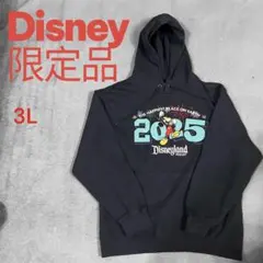 【2025年/3L】海外ディズニー ミッキー 70周年記念 スウェットパーカー