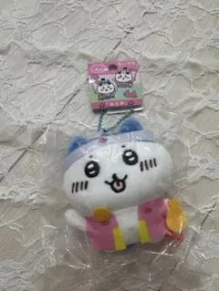☆限定☆ハチワレ 桃太郎
