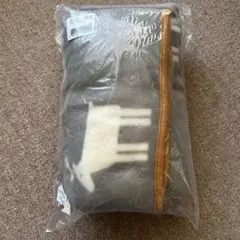 Item thumbnail for item c4dea7ce-8a03-4916-9257-9c1364614a24