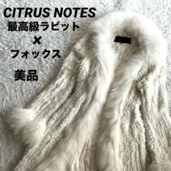 2025年最新】CITRUS NOTES 毛皮・ファーコートの人気アイテム - メルカリ