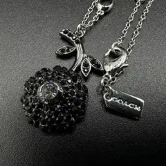 COACH コーチ ネックレス シルバー ブラック フラワー r8129