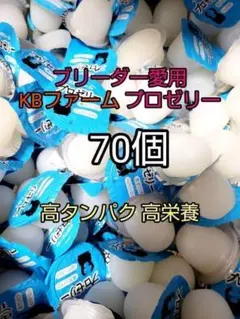 Item thumbnail for item b6ad3b57-aadd-4b5b-9b45-03b6c6f467f9