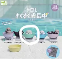 u.t様 リクエスト 2点 まとめ商品