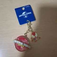USJ スパイダーマン キーチェーンのサムネイル
