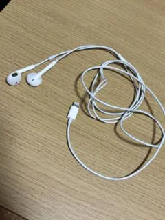 Apple 純正 Lightning イヤホン EarPods 動作確認済 美品