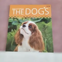 Item thumbnail for item 2610aedb-ce04-4edf-8af1-098395677d65