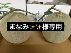 限定特価 地域によって値引き】夕張メロン共撰品秀品2玉 1玉約2kg※九州