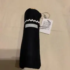 Item thumbnail for item 6aa2f109-34a3-4025-ba17-cd1b10a7c634