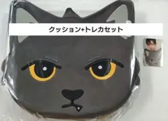 NEXZOO NEXZ フォトカードホルダー ジェリーユ ユウ YU - メルカリ