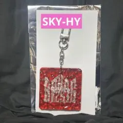 BMSG FES'25 ランダムウェーブキーリング SKY-HI
