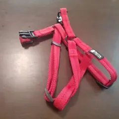 Item thumbnail for item a1991957-6849-40c2-bc78-424676239b15