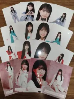 稲熊ひな 櫻坂46 生写真 摩擦係数 新参者 ギンガムチェック 20種コンプ