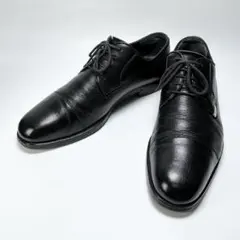 Item thumbnail for item 10621b78-8847-4f7c-a199-29825c0bd35f