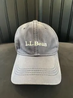 Item thumbnail for item a1020cbc-3b44-45c9-bab9-88001f905ad2