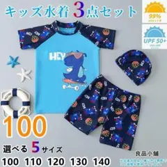 水着 男の子 キッズ水着 恐竜柄 セパレート 子供用 日焼け防止 3点セットgt