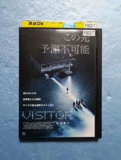ビジター('12米) DVD