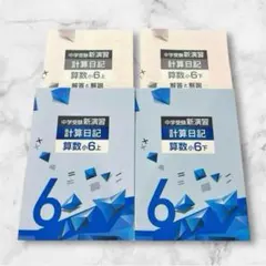 中学受験　新演習　小５　算理　上下 ⭐️上下セット⭐️中学受験 新演習 計算日記 算数 小5 塾教材 新品