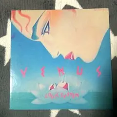 LOGIC SYSTEM美品！ヴィーナス