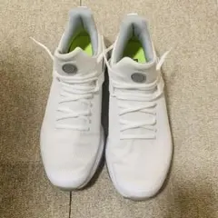 Item thumbnail for item ba81f556-383b-4f20-8ba0-d96b8f19212b