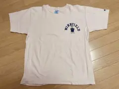 CHAMPION heavyweight T-shirt MEDIUM