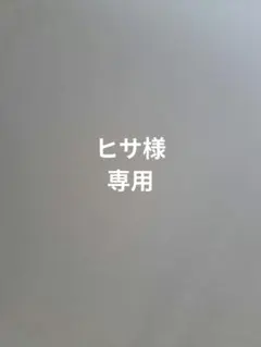 ヒサ様専用