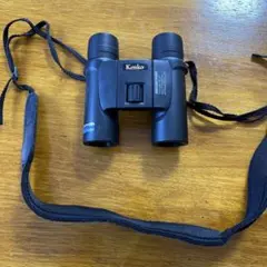 Item thumbnail for item ff38b658-8cd5-4a44-97d5-3813cd531a63