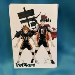 2026年最新】全15種セット 「ハイキュー!!展 FINAL 箔押しイラスト