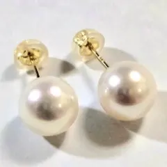 Item thumbnail for item 42210e57-77dc-4404-9af0-beea933b218e