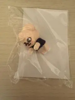 SKZOO ぴょこっとミニフィギュア パピム D賞 FCくじ
