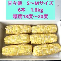 【ゲリラセール】超お買い得特価品　静岡県　遠州森町　甘々娘6本　約1.6kgのサムネイル