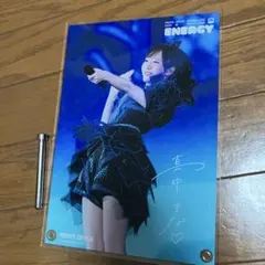 よ*こ様 FRUITSZIPPER SPECIAL LIVE写真集 真中まなアク
