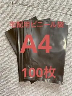 宅配用ビニール袋　　A4 100枚のサムネイル