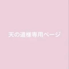 天の道様専用ページ