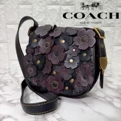 2026年最新】coach ティーローズ ローグの人気アイテム - メルカリ
