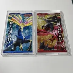 コレクションX コレクションY 未開封 パック