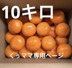 美味しいみかん Lサイズ 10キロ　(訳あり)送料込み！　発送日を説明欄で確認