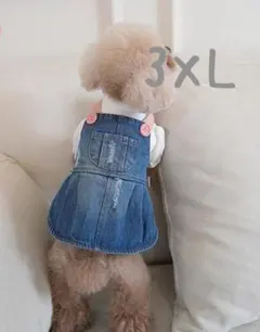 62.【セール】3XＬサイズ　デニムサロペットスカート　犬服　春 秋 冬