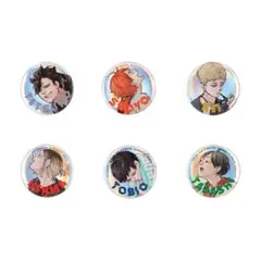 匿名配送 ジャンプGIGA 限定誌上通販 『ハイキュー!!』 缶バッジ6種