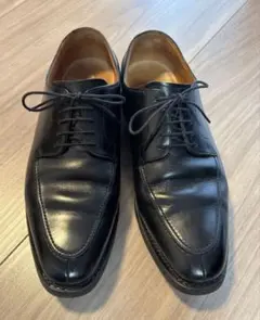 HIROKAWA SCOTCH GRAINl 2926 紳士靴 2025年最新】scotch grain hirokawaの人気アイテム - メルカリ