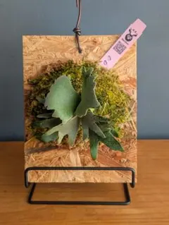 2025年最新】ウィリンキー omgの人気アイテム - メルカリ