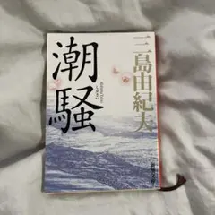 潮騒