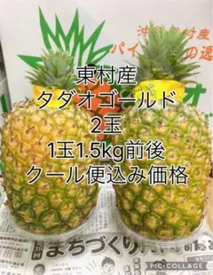 東村産タダオゴールド2玉☆安心クール便☆ - メルカリ