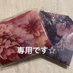 とんみ様専用☆クリスタルジェミーエコバックのサムネイル