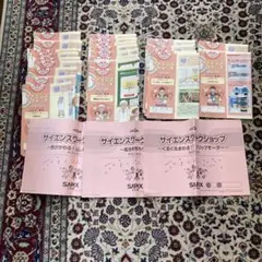 SAPIX デイリー理科530-01～10（2024年度) F430-01～03 小5 デイリーサピックス 理科 530－10 光の進み方～音と光